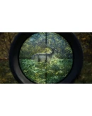 theHunter: Call of the Wild * STEAM RU АВТО 0