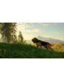 theHunter: Call of the Wild - Bloodhound DLC