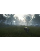 theHunter: Call of the Wild - Te Awaroa National Park