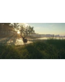 theHunter: Call of the Wild - Te Awaroa National Park