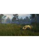 theHunter: Call of the Wild - Te Awaroa National Park