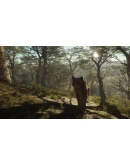 theHunter: Call of the Wild - Parque Fernando DLC