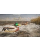 theHunter: Call of the Wild - Duck and Cover Pack DLC