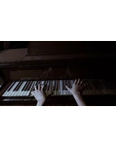 SILVER CHAINSXBOX XSКЛЮЧ