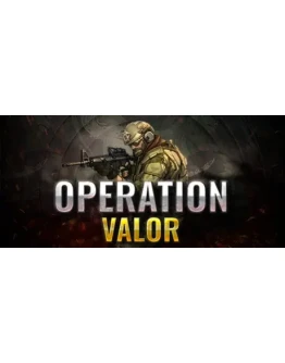 Operation: Valor АВТОДОСТАВКА STEAM GIFT РОССИЯ