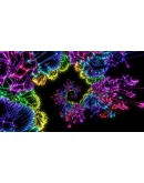 DMT: Dynamic Music Tesseract STEAM GIFT РОССИЯ