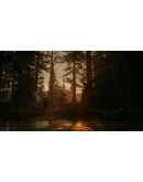 Alan Wake 2 Deluxe Edition Xbox Series XS