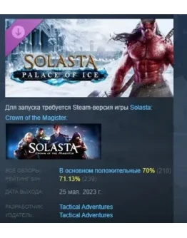 Solasta: Crown of the Magister - Palace of Ice STEAM РФ