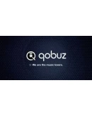 Qobuz Studio Premier Hi-Fi Hi-Res 12 Месяца
