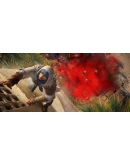 Assassin's Creed Mirage Deluxe Edition Uplay Offline