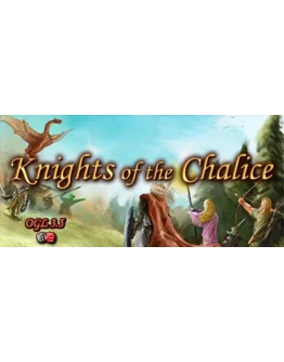 Knights of the Chalice АВТОДОСТАВКА STEAM GIFT РОССИ