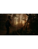 Alan Wake II 2 EPIC GAMES/PS5/XBOX0ГАРАНТИЯ