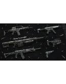 Insurgency Sandstorm - Digital Splatter Weapon Skin Set