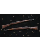 Insurgency: Sandstorm - Woodburn Weapon Skin Set DLC