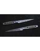 Insurgency: Sandstorm - Brute Gear Set DLC - STEAM RU