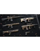Insurgency: Sandstorm - Woodland Weapon Skin Set DLC