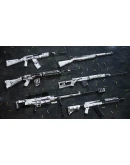 Insurgency: Sandstorm - Whiteout Weapon Skin Set DLC Insurgency: Sandstorm - Whiteout Weapon Skin Set DLC