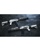 Insurgency: Sandstorm - Whiteout Weapon Skin Set DLC Insurgency: Sandstorm - Whiteout Weapon Skin Set DLC