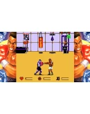 Power Punch II (Steam key / Region Free)