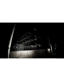 Case of the mysterious death of Keiko Haraeda STEAM