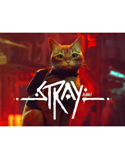Stray PS4/PS5 Турция
