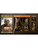 Arizona Sunshine 2 Deluxe Edition steam gift Россия