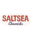 Saltsea Chronicles Steam РУ+UA+KZ+СНГ