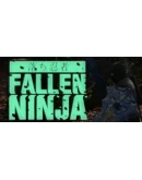 Fallen Ninja Steam РУ+UA+KZ+СНГ
