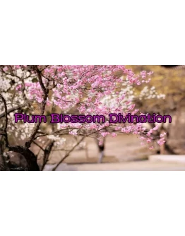 Plum Blossom Divination Steam РУ+UA+KZ+СНГ