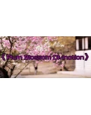 Plum Blossom Divination Steam РУ+UA+KZ+СНГ