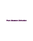 Plum Blossom Divination Steam РУ+UA+KZ+СНГ