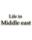 Life in Middle East Steam РУ+UA+KZ+СНГ