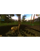 Hunting Unlimited 2011 АВТОДОСТАВКА STEAM РОССИЯ