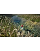 Bottle Can Float STEAM KEY REGION FREE GLOBAL ROW