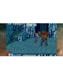 DoubleDragon Advance XBOXПокупка на Ваш аккаунт