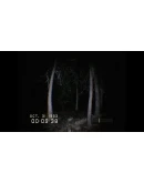 DON'T SCREAM Steam Обновления АВТОВЫДАЧА 24/7