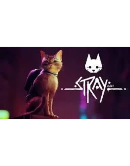 Stray
