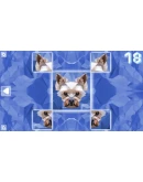 Poly Puzzle: DogsSteamРФ+Весь МирKey