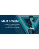 WP Smush Pro 3.15.3 - Русификация плагина