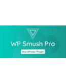 WP Smush Pro 3.15.3 - Русификация плагина
