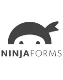 Ninja Forms 3.6.20 - Русификация плагина