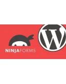 Ninja Forms 3.6.20 - Русификация плагина