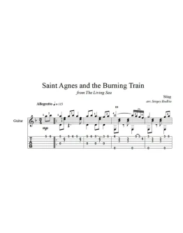 Saint Agnes and the Burning Train (Стинг) для гитары