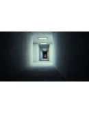 Backrooms - Surreality АВТОДОСТАВКА STEAM GIFT РОССИЯ