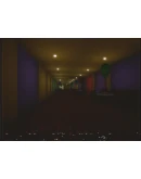 Backrooms Mainframe АВТОДОСТАВКА STEAM GIFT РОССИЯ