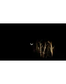 Adrift in the Backrooms STEAM GIFT РОССИЯ