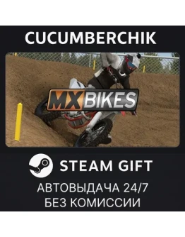 MX BikesSTEAM GIFT AUTORU+МИР