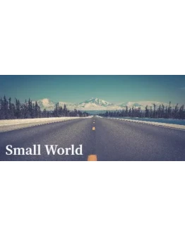 Small World * STEAM РОССИЯ АВТОДОСТАВКА 0 КАРТЫ