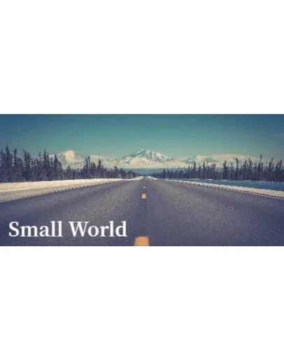 Small World * STEAM РОССИЯ АВТОДОСТАВКА 0 КАРТЫ