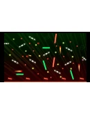 Dash &amp Swing * STEAM РОССИЯ АВТОДОСТАВКА 0 КАРТЫ